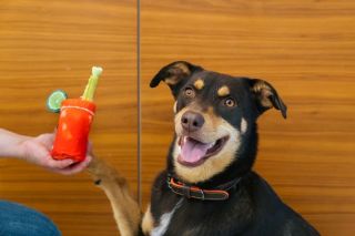 Plišasta igrača BLODY MERY