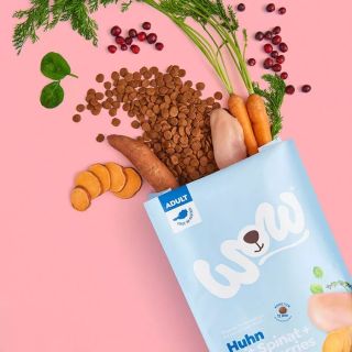 BRIKETI S PIŠČANCEM