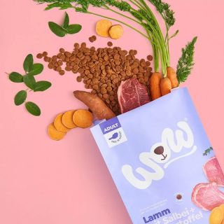 BRIKETI Z JAGNJETINO