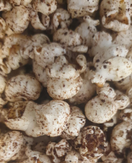 KOKICE z govejimi jetri